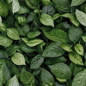 Assessing Climate Accountability: How to Optimize Green Business Practices with Impactful Tools 